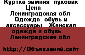 Куртка зимняя (пуховик) › Цена ­ 4 000 - Ленинградская обл. Одежда, обувь и аксессуары » Женская одежда и обувь   . Ленинградская обл.